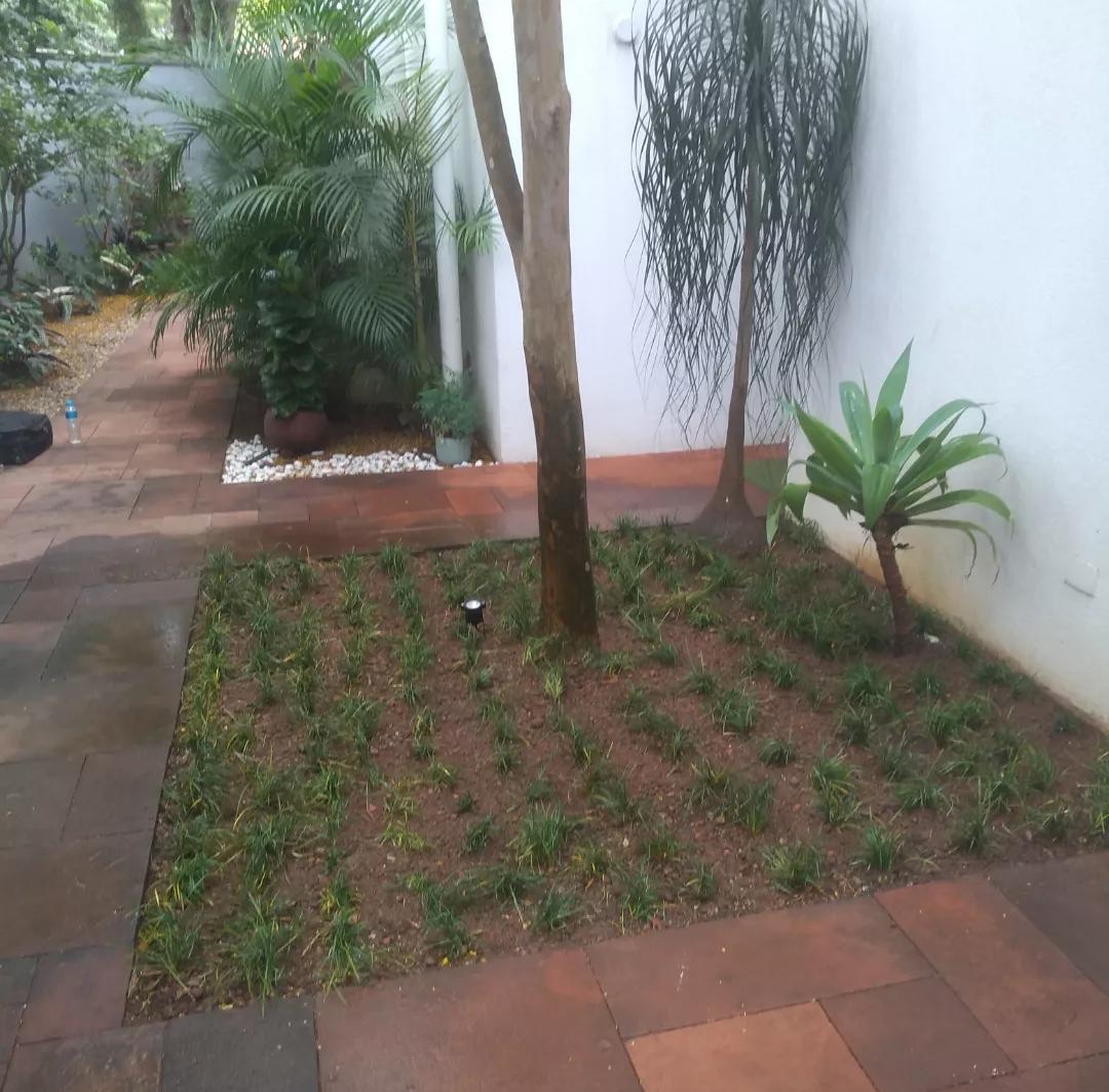 Canteiro com plantio em área residencial