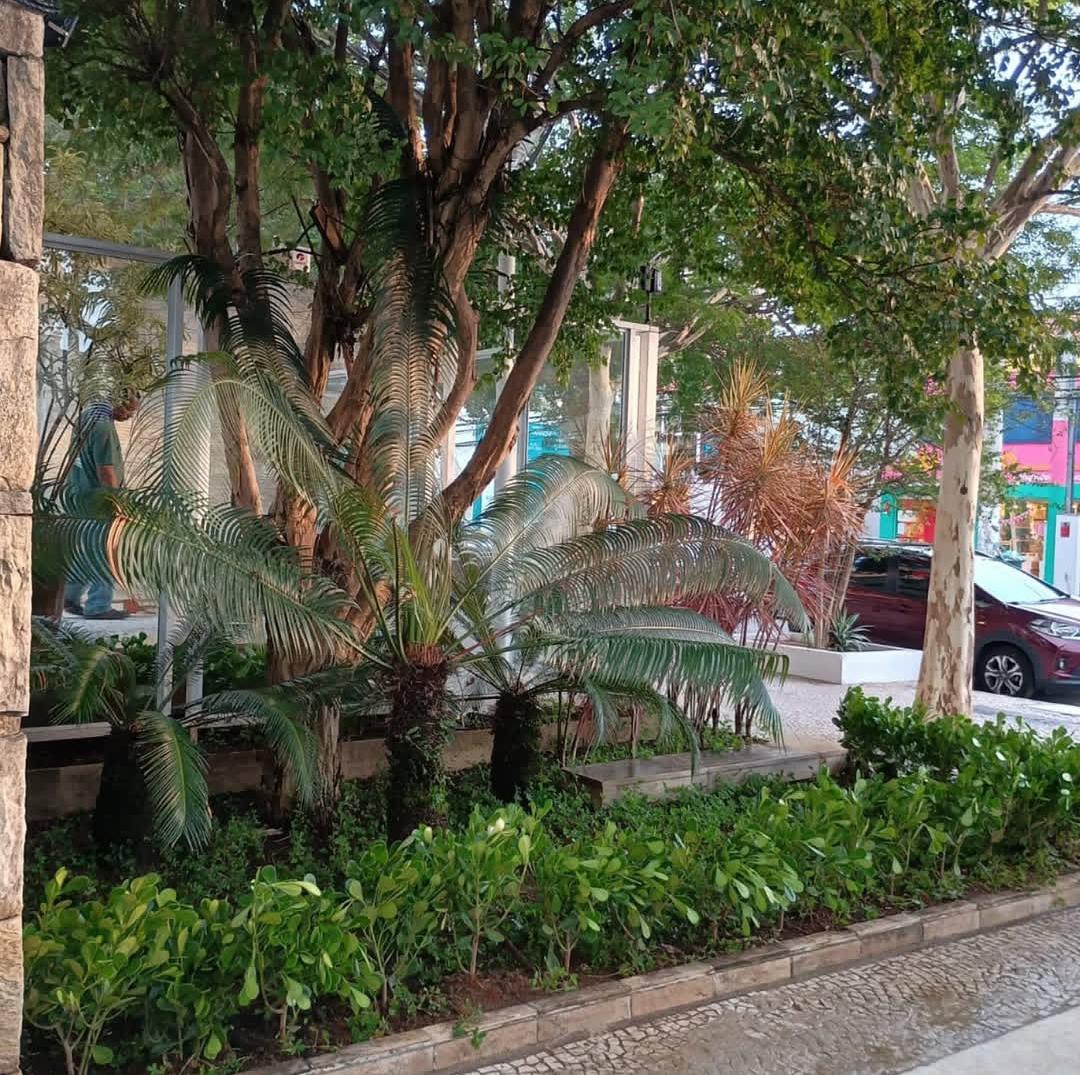 Jardim externo cuidado pela Trevo Jardinagem