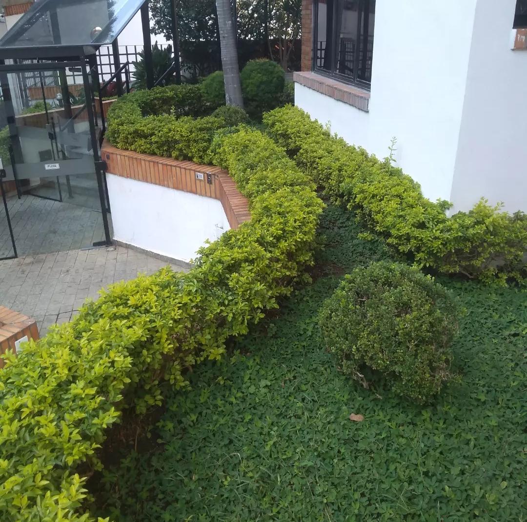 Cerca viva aparada em condomínio