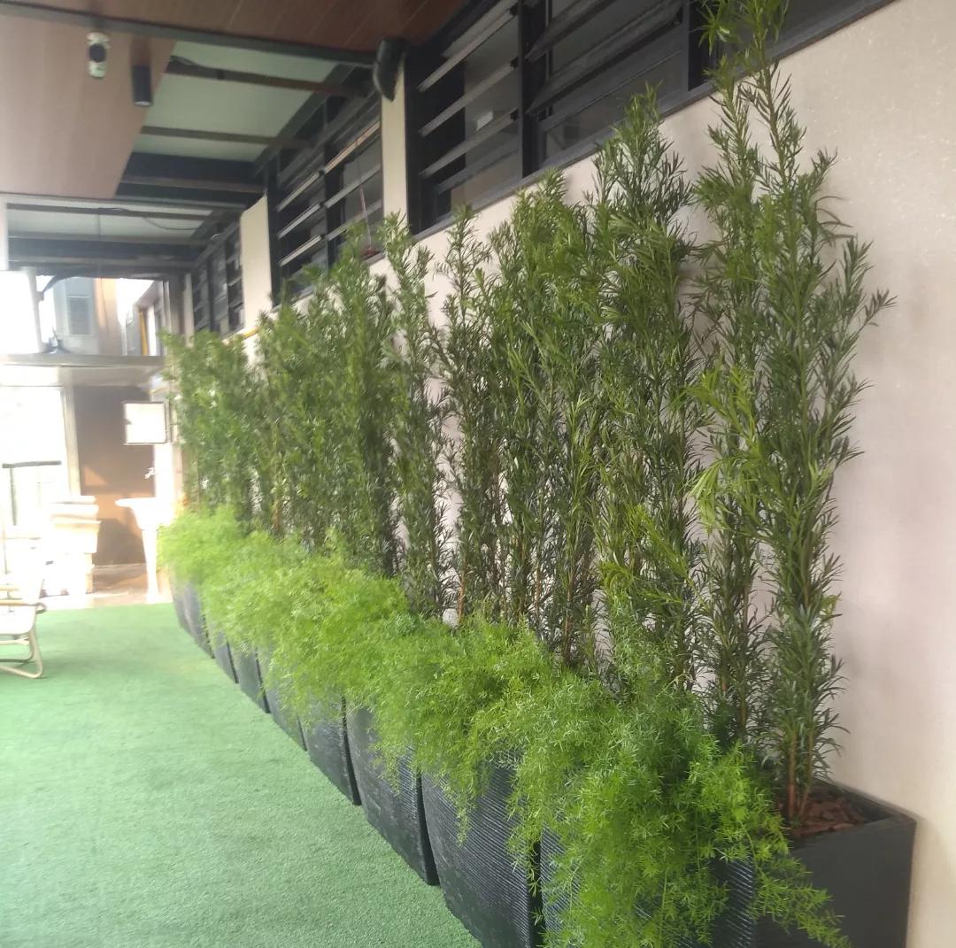 Vasos e plantas em corredor externo