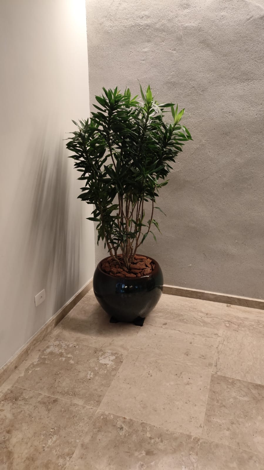 Vaso decorativo com planta em ambiente interno