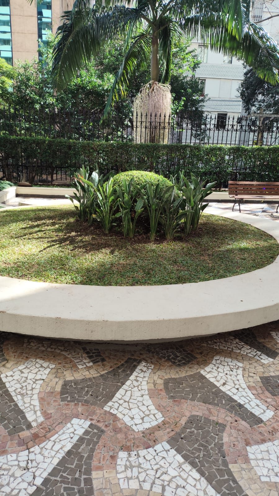 Jardim circular com palmeira e plantas ornamentais